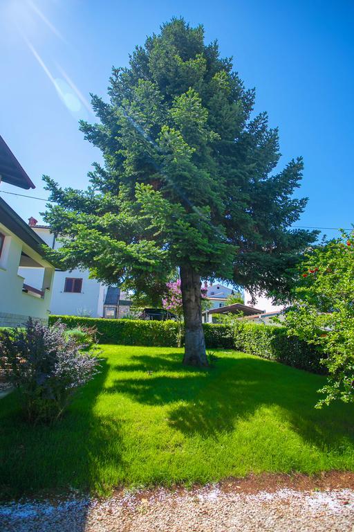 Apartment Pinia Пореч Экстерьер фото